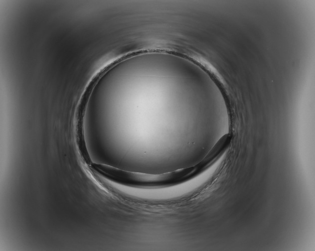 X0000085290991200703091406