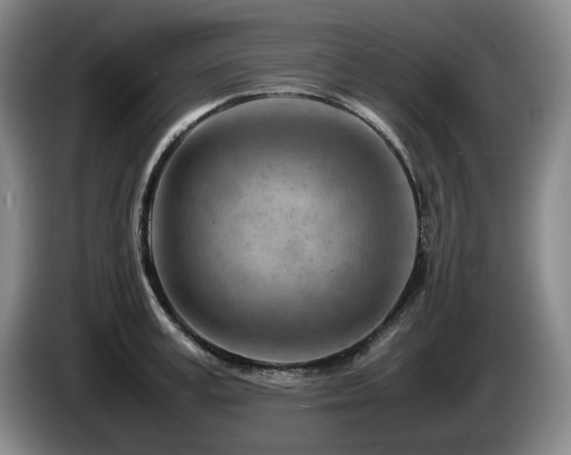 X0000085290995200703091406