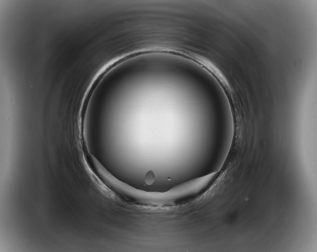 X0000085290996200703091406