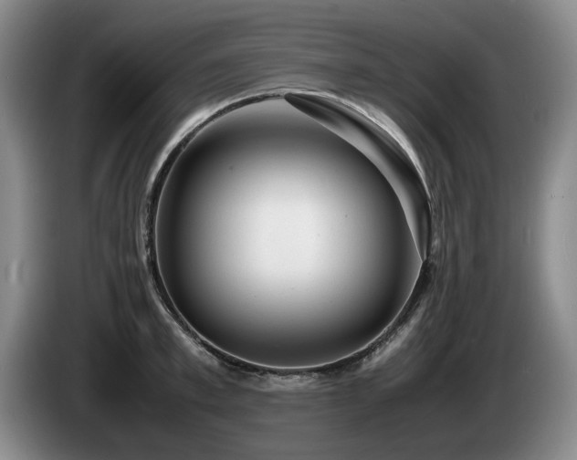 X0000085290997200703091406