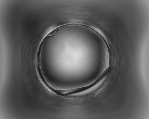 X0000085290999200703091406