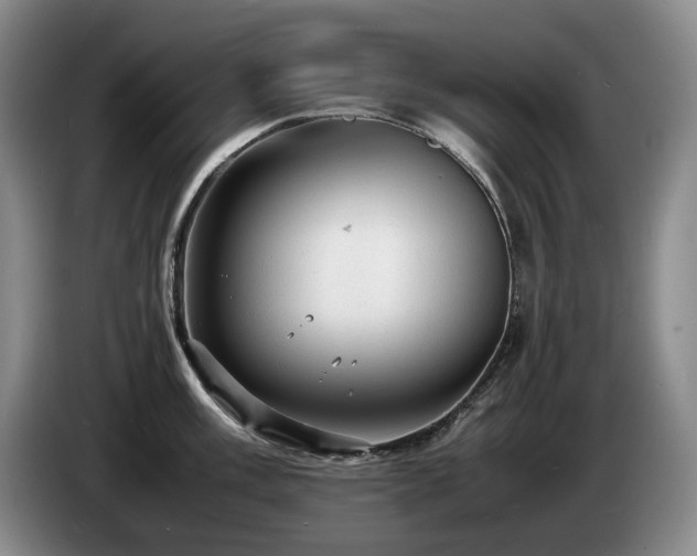 X0000085291003200703091406