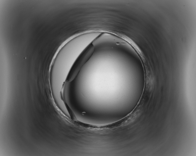 X0000085291004200703091406