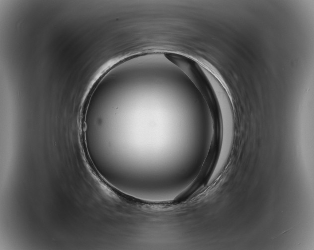 X0000085291005200703091406