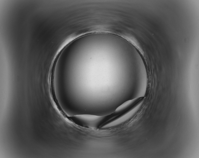X0000085291007200703091406