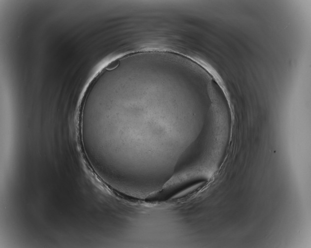 X0000085291008200703091406