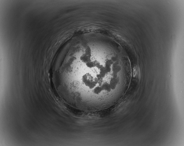 X0000085291011200703091405