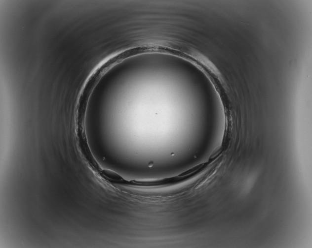 X0000085291020200703091405