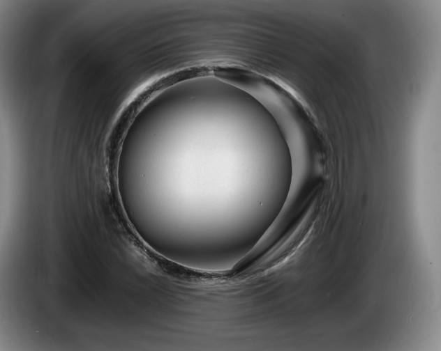 X0000085291022200703091405