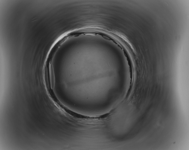 X0000085291024200703091405