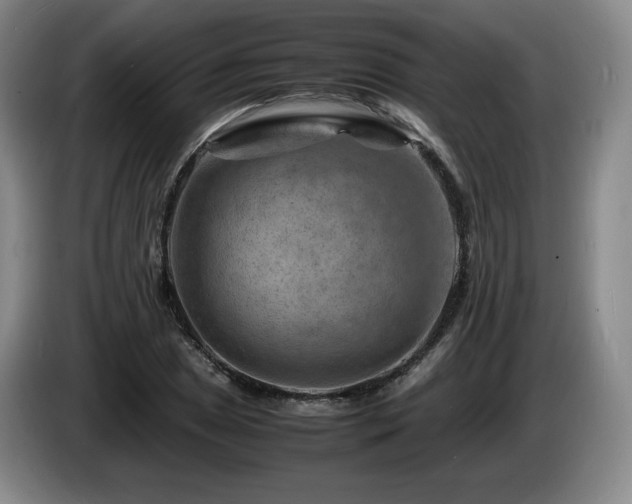 X0000085291025200703091406