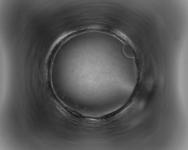 X0000085291027200703091406