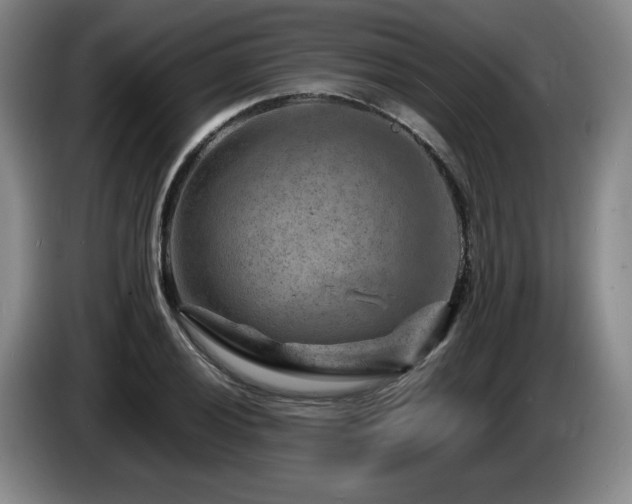 X0000085291028200703091406