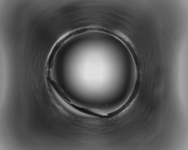 X0000085291029200703091406