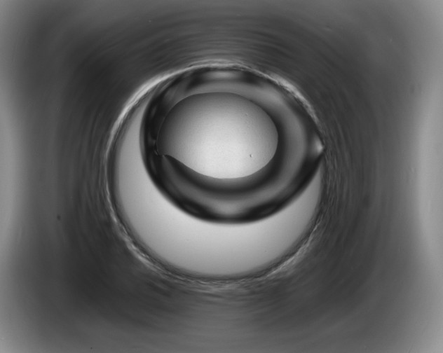 X0000085291030200703091406