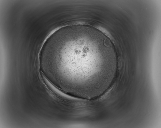 X0000085291031200703091406