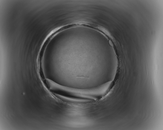 X0000085291032200703091406