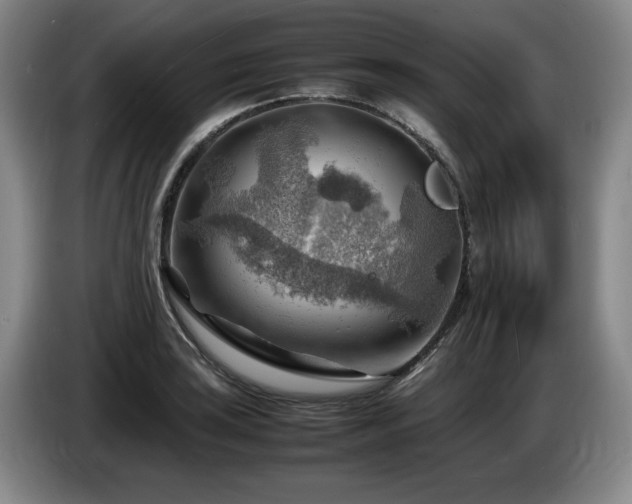 X0000085291035200703091406