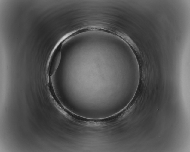 X0000085291036200703091406
