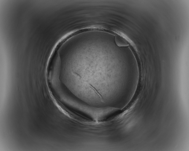 X0000085291037200703091406