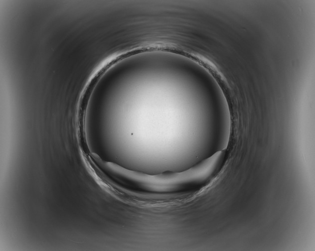 X0000085291038200703091406