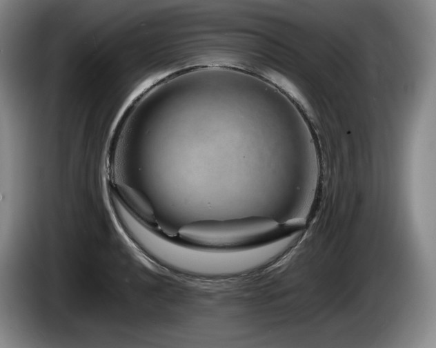 X0000085291040200703091406