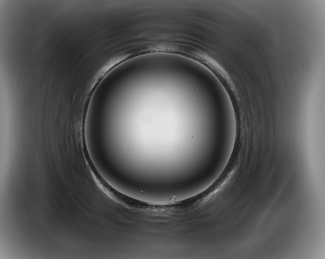 X0000085291041200703091406