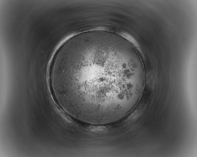 X0000085291043200703091406