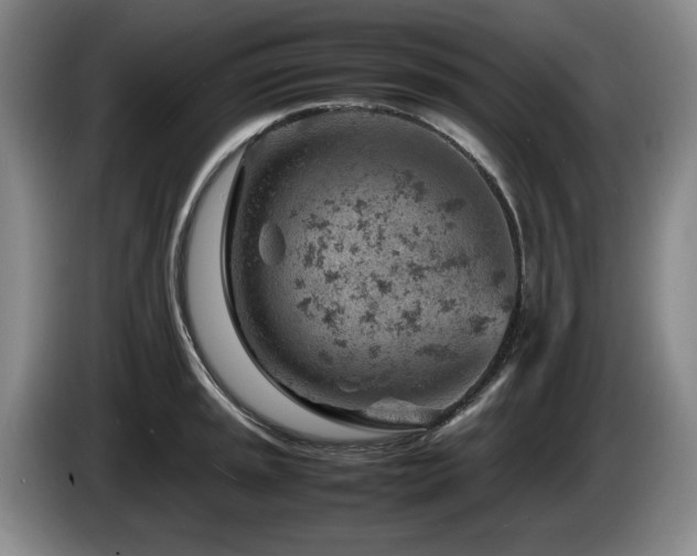 X0000085291045200703091406