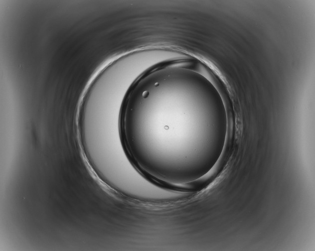 X0000085291046200703091406