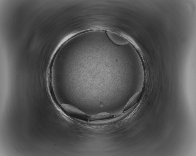 X0000085291048200703091406