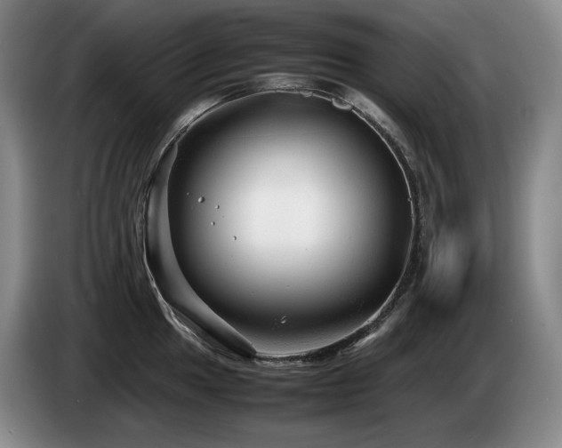 X0000085291049200703091406