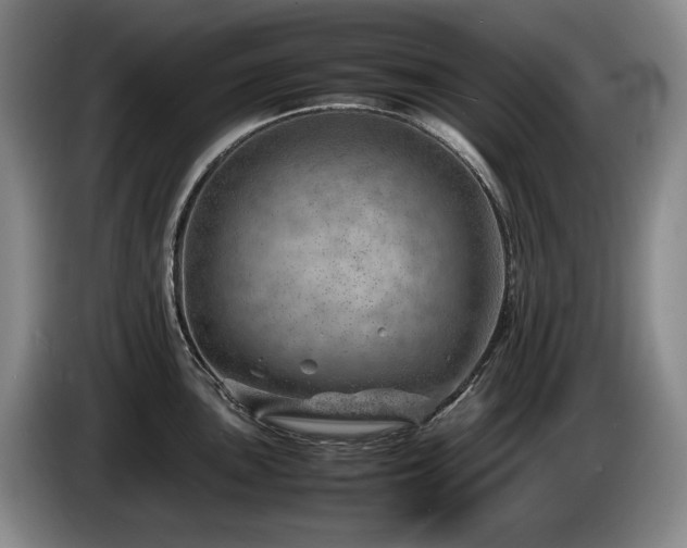 X0000085291051200703091406