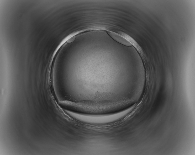 X0000085291052200703091406