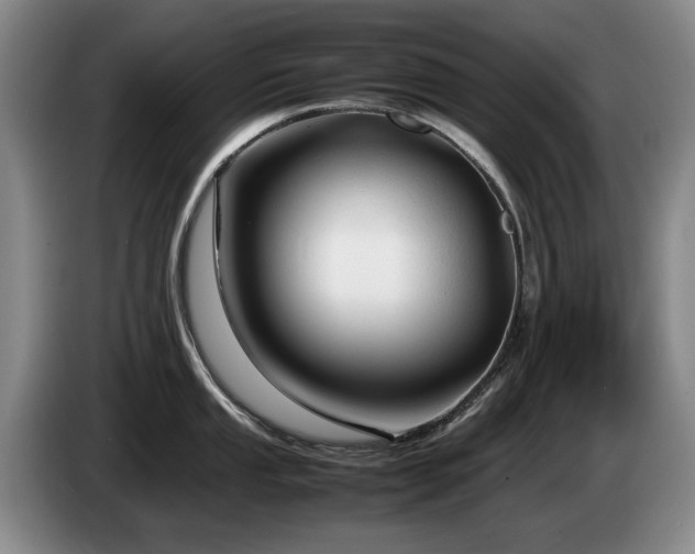 X0000085291053200703091406