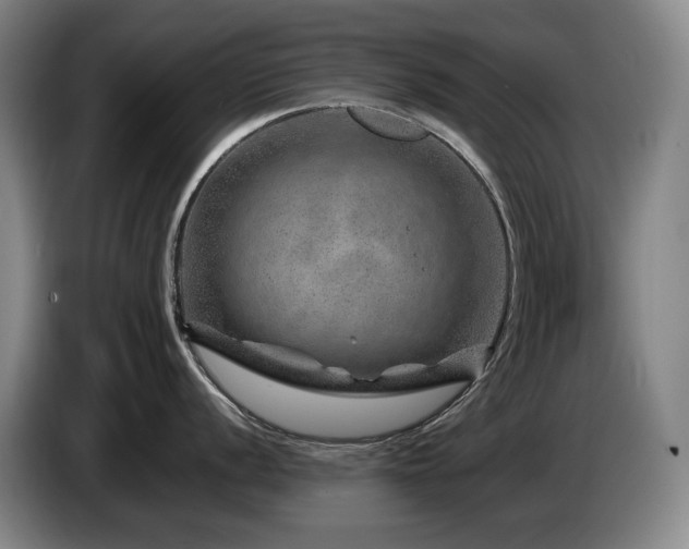 X0000085291056200703091406