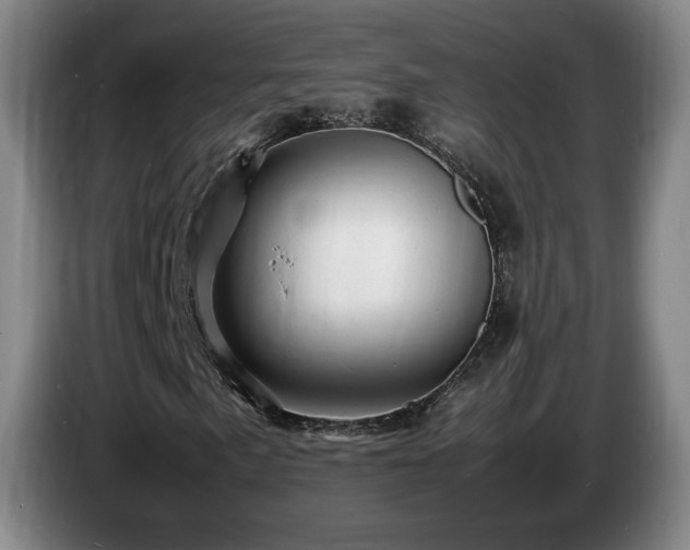 X0000085291057200703091405