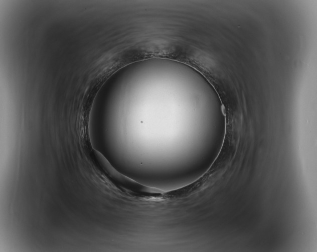 X0000085291058200703091405