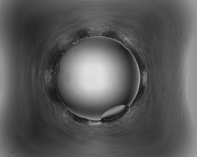 X0000085291059200703091405