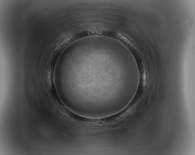 X0000085291060200703091405