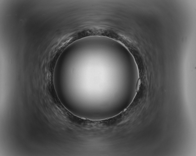 X0000085291061200703091405