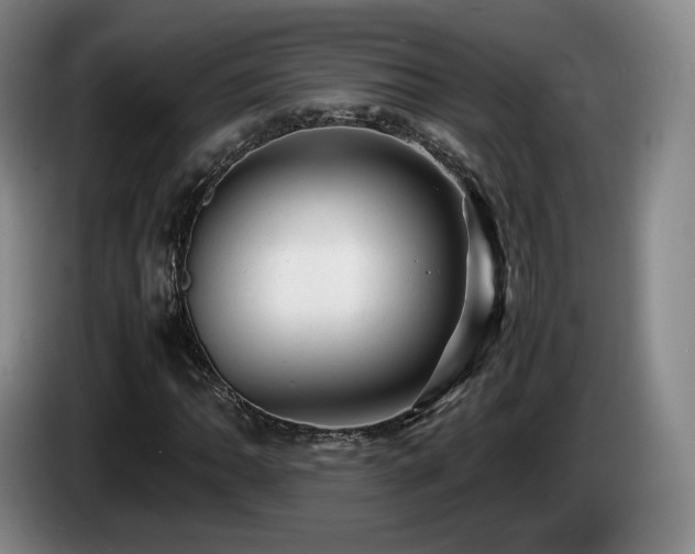 X0000085291062200703091405