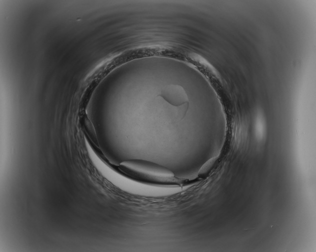 X0000085291064200703091405