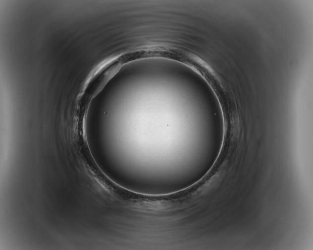 X0000085291066200703091405