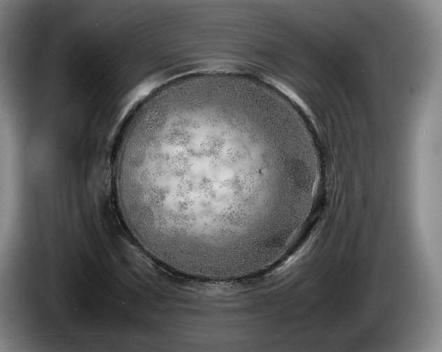 X0000085291067200703091405