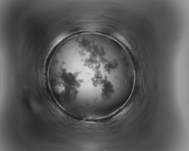 X0000085291071200703091405