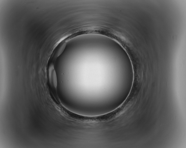 X0000085291073200703091405