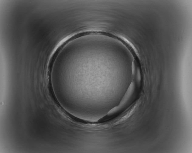 X0000085291077200703091405