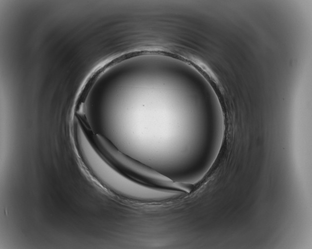 X0000085291080200703091405