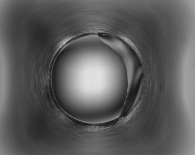 X0000085291081200703091405